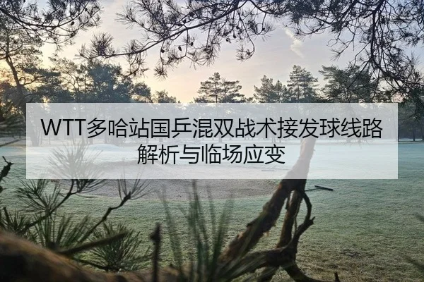 WTT多哈站国乒混双战术接发球线路解析与临场应变